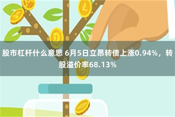 股市杠杆什么意思 6月5日立昂转债上涨0.94%，转股溢价率68.13%