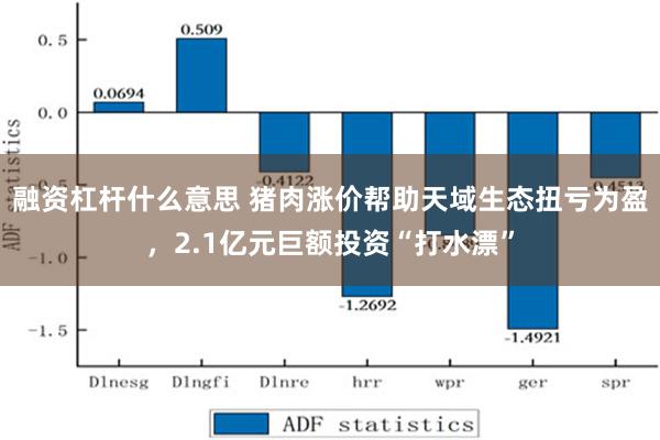 融资杠杆什么意思 猪肉涨价帮助天域生态扭亏为盈，2.1亿元巨额投资“打水漂”