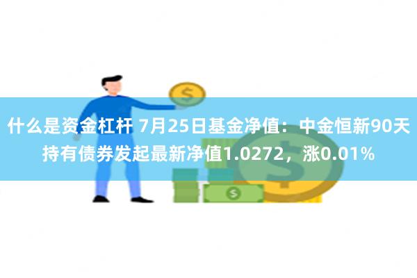 什么是资金杠杆 7月25日基金净值：中金恒新90天持有债券发起最新净值1.0272，涨0.01%