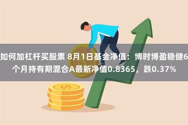 如何加杠杆买股票 8月1日基金净值：博时博盈稳健6个月持有期混合A最新净值0.8365，跌0.37%