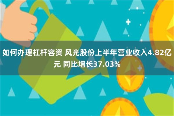 如何办理杠杆容资 风光股份上半年营业收入4.82亿元 同比增长37.03%