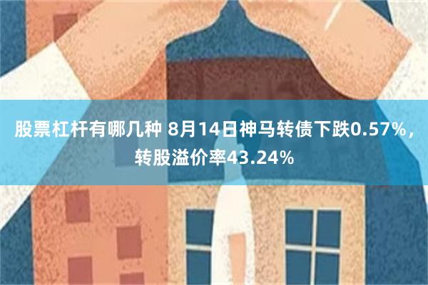 股票杠杆有哪几种 8月14日神马转债下跌0.57%，转股溢价率43.24%