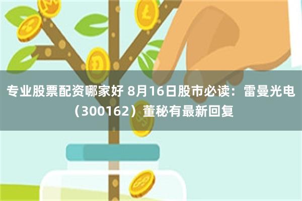 专业股票配资哪家好 8月16日股市必读：雷曼光电（300162）董秘有最新回复