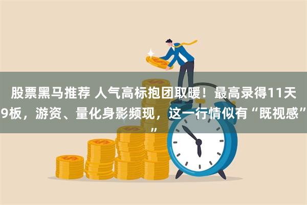 股票黑马推荐 人气高标抱团取暖！最高录得11天9板，游资、量化身影频现，这一行情似有“既视感”