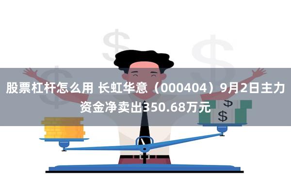 股票杠杆怎么用 长虹华意（000404）9月2日主力资金净卖出350.68万元