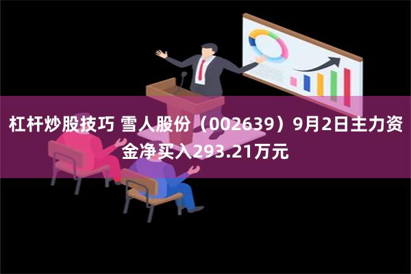 杠杆炒股技巧 雪人股份（002639）9月2日主力资金净买入