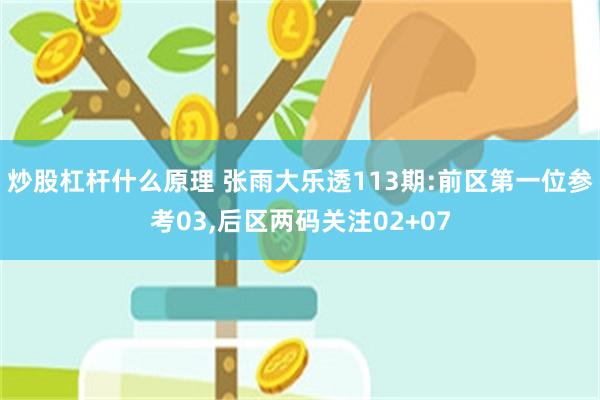 炒股杠杆什么原理 张雨大乐透113期:前区第一位参考03,后