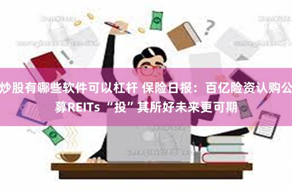 炒股有哪些软件可以杠杆 保险日报：百亿险资认购公募REITs “投”其所好未来更可期