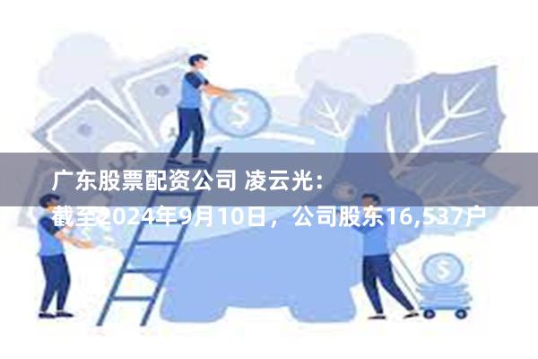 广东股票配资公司 凌云光：
截至2024年9月10日，公司股东16,537户