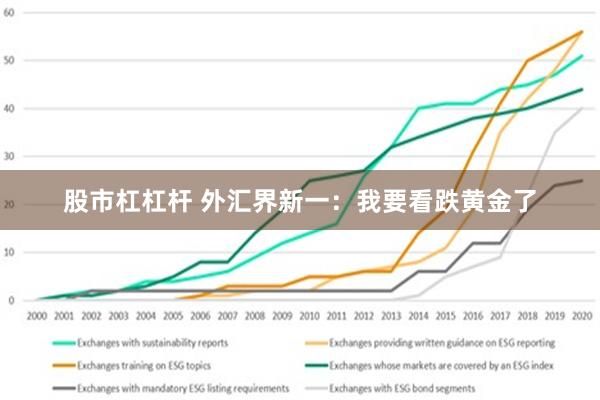 股市杠杠杆 外汇界新一：我要看跌黄金了