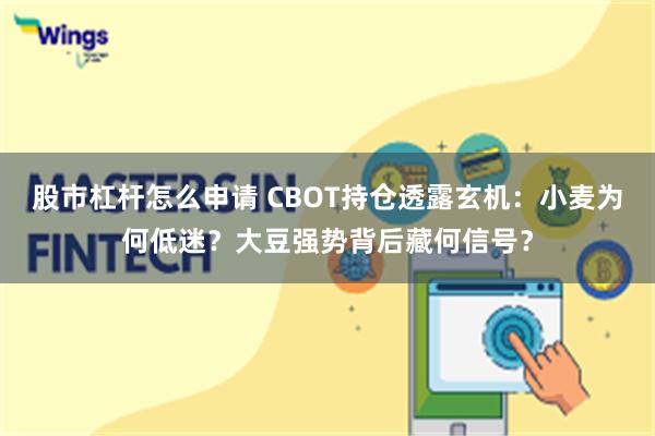 股市杠杆怎么申请 CBOT持仓透露玄机：小麦为何低迷？大豆强势背后藏何信号？