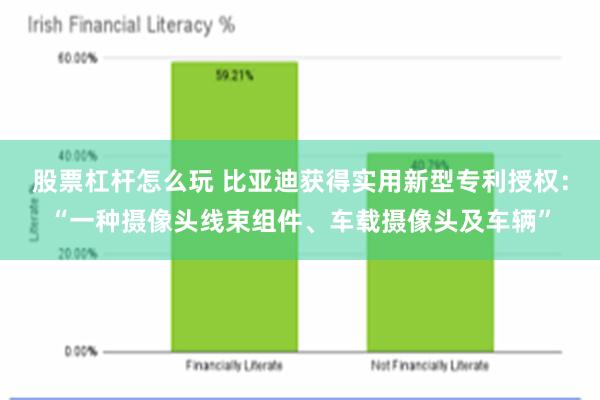 股票杠杆怎么玩 比亚迪获得实用新型专利授权：“一种摄像头线束组件、车载摄像头及车辆”