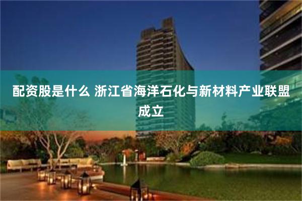 配资股是什么 浙江省海洋石化与新材料产业联盟成立