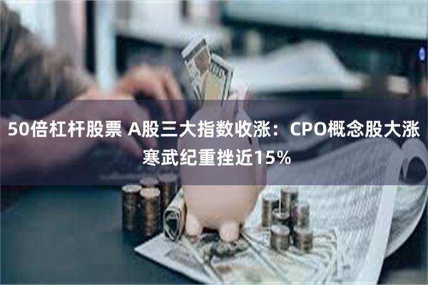 50倍杠杆股票 A股三大指数收涨：CPO概念股大涨 寒武纪重挫近15%