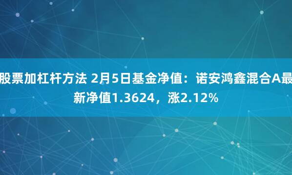 股票加杠杆方法 2月5日基金净值：诺安鸿鑫混合A最新净值1.3624，涨2.12%