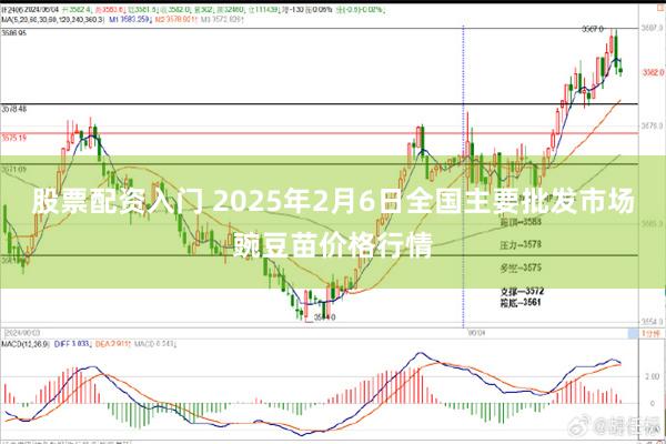 股票配资入门 2025年2月6日全国主要批发市场豌豆苗价格行情