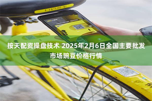 按天配资操盘技术 2025年2月6日全国主要批发市场豌豆价格行情