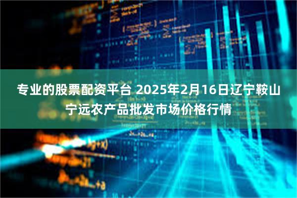 专业的股票配资平台 2025年2月16日辽宁鞍山宁远农产品批发市场价格行情