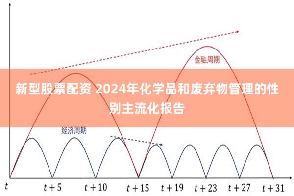 新型股票配资 2024年化学品和废弃物管理的性别主流化报告